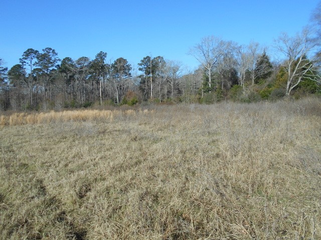 Tbd Tbd Fm-2712 Crockett, TX 75835 - Photo 10 of 15 a view of a lake with a yard and trees