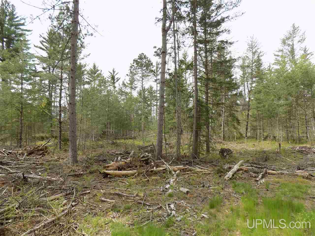 Tbd Slim's Road, Unit PARCEL B Manistique, MI 49854 - Photo 5 of 21
