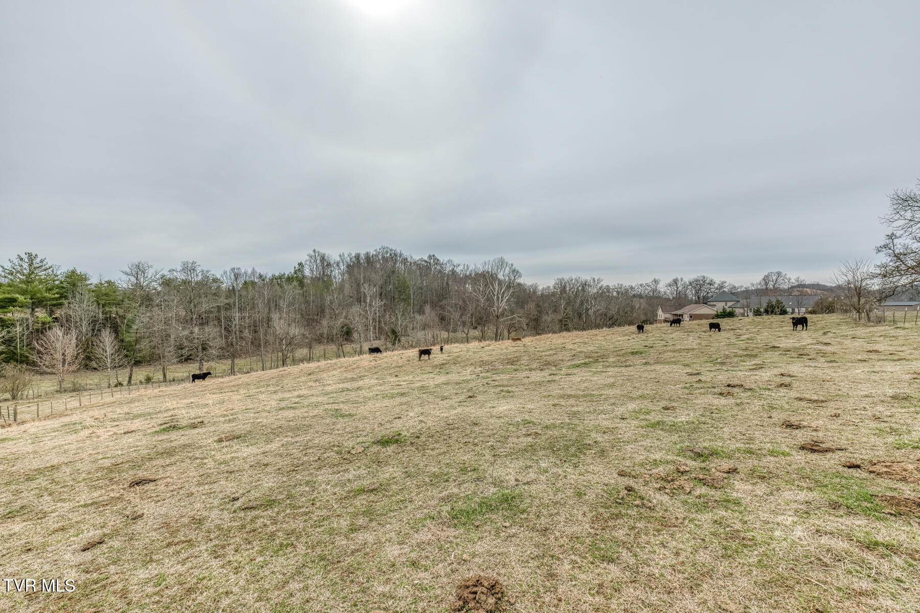 707 Egypt Road Bluff City, TN 37618 - Photo 14 of 16 egypt rd land 11