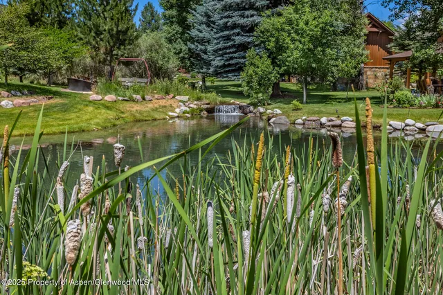 $3,395,000 | 21 Tellico Court, Carbondale, CO 81623