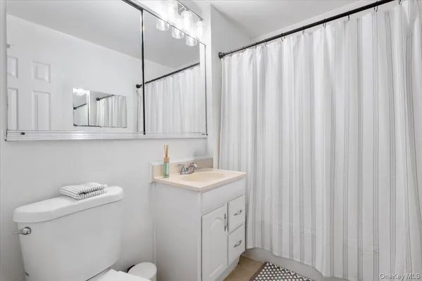 a bathroom with a sink and a toilet