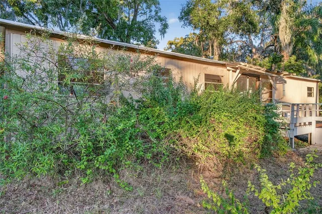 a view of a yard with plants and a large tree