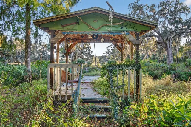a view of a small garden