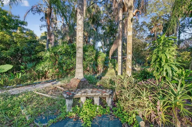 a view of a garden with plants