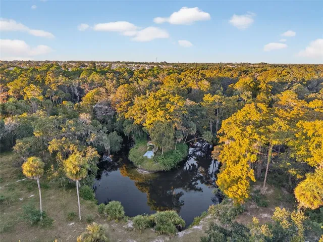 a view of city and swimming pool