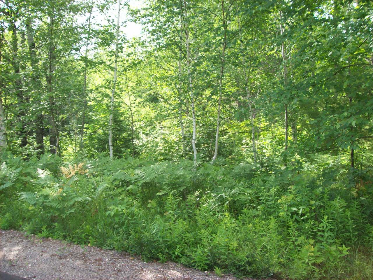 0 Flowage Road Park Falls, WI 54552 - Photo 6 of 9 Gallery Image 6