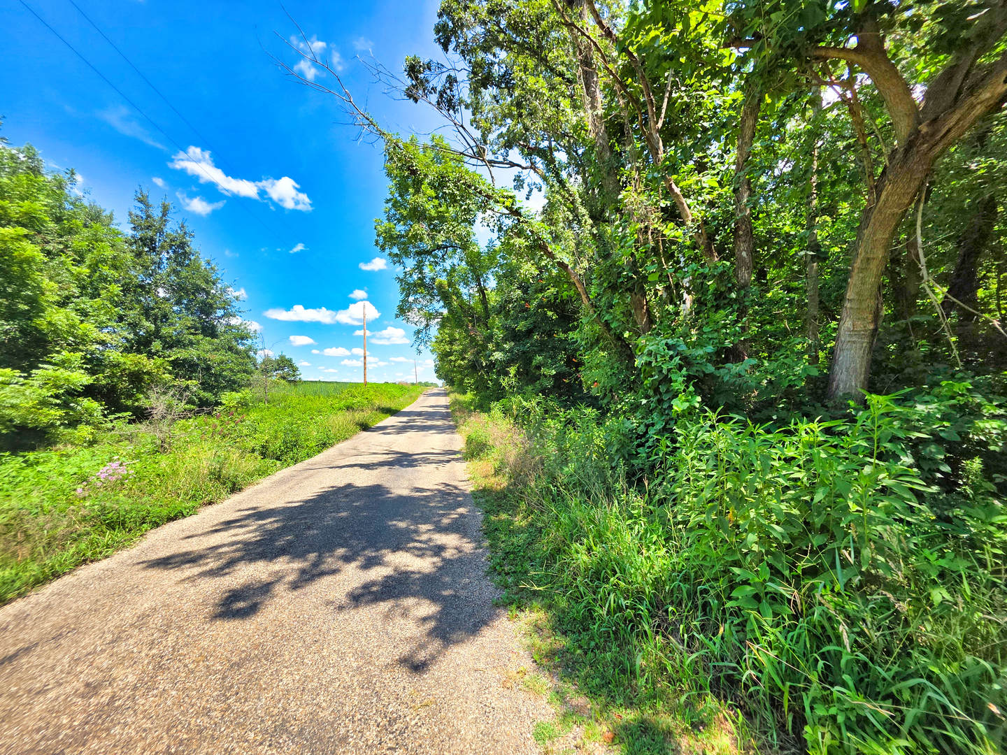 0 South Stanford Road Flora, IL 62839 - Photo 8 of 12 Gallery Image 8