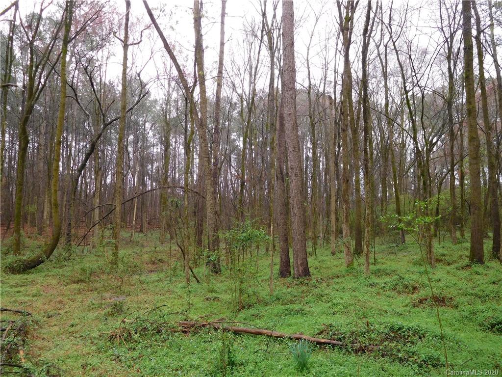 7002 White Store Road Marshville, NC 28103 - Photo 37 of 40