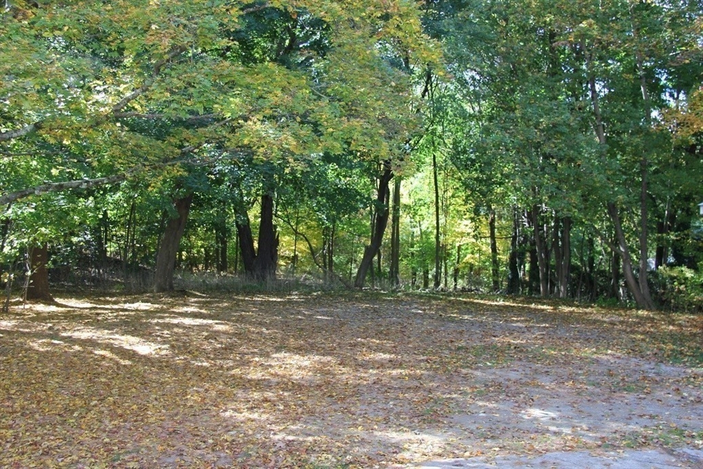 14 Reed Street, Unit 14 Lexington, MA 02421 - Photo 20 of 21