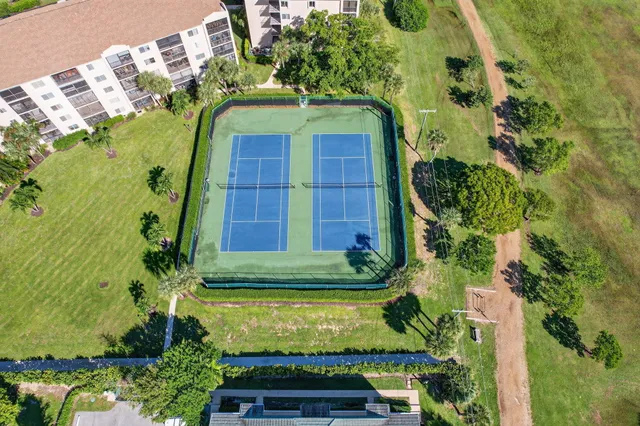 a aerial view of a house with a yard and potted plants