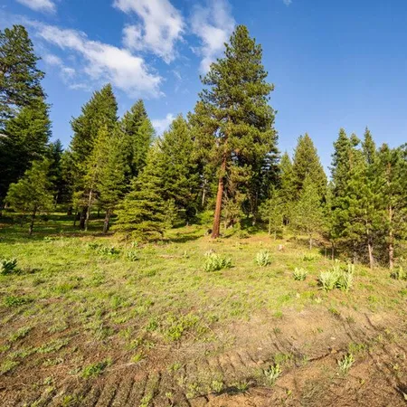 $500,000 | Lot 16 To Be Determined, Unit 16, McCall, ID 83638