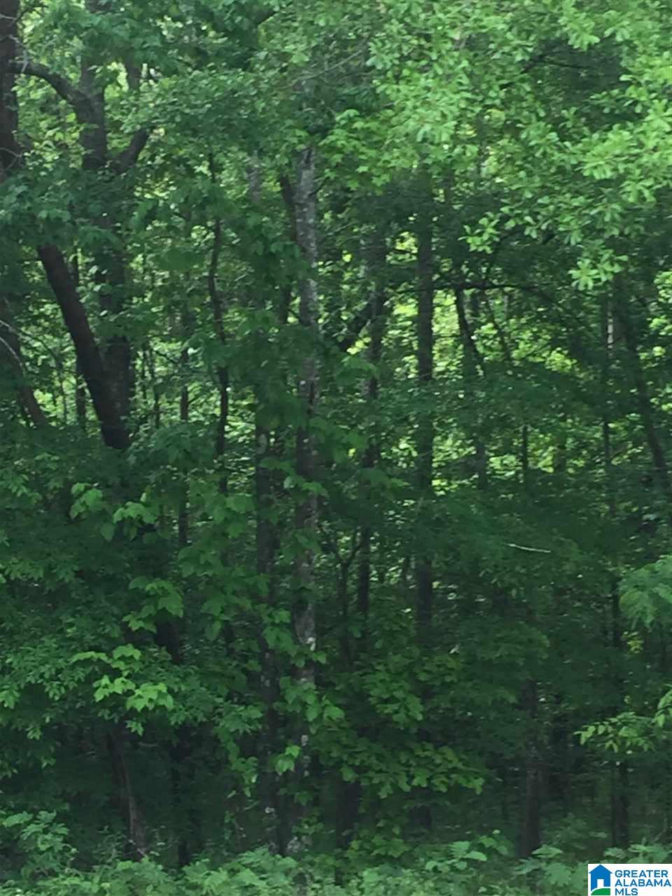 Old Village Road McCalla, AL 35111 - Photo 7 of 12