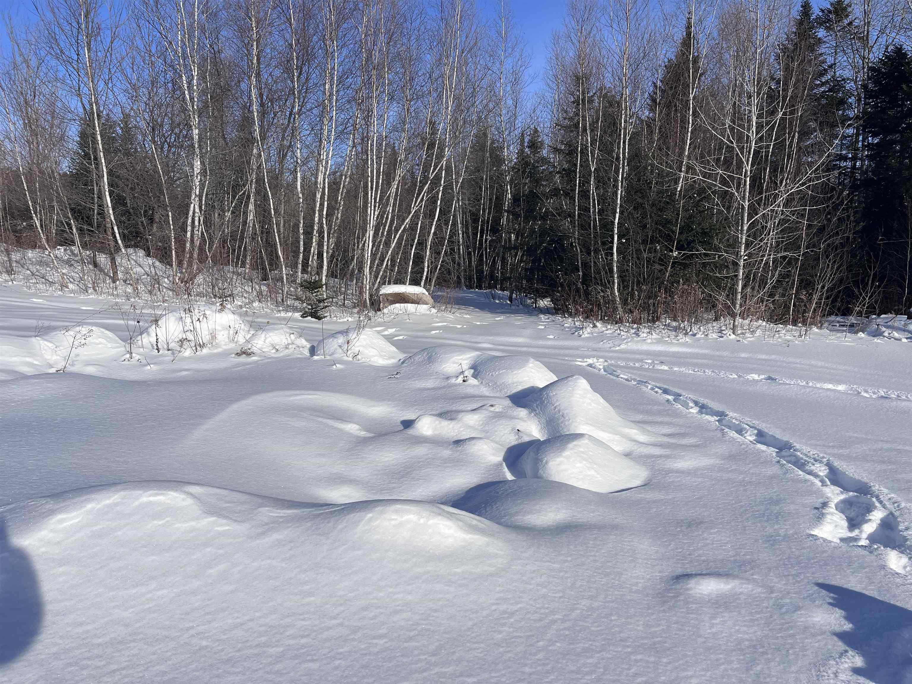 288 George Street Barre, VT 05641 - Photo 3 of 13