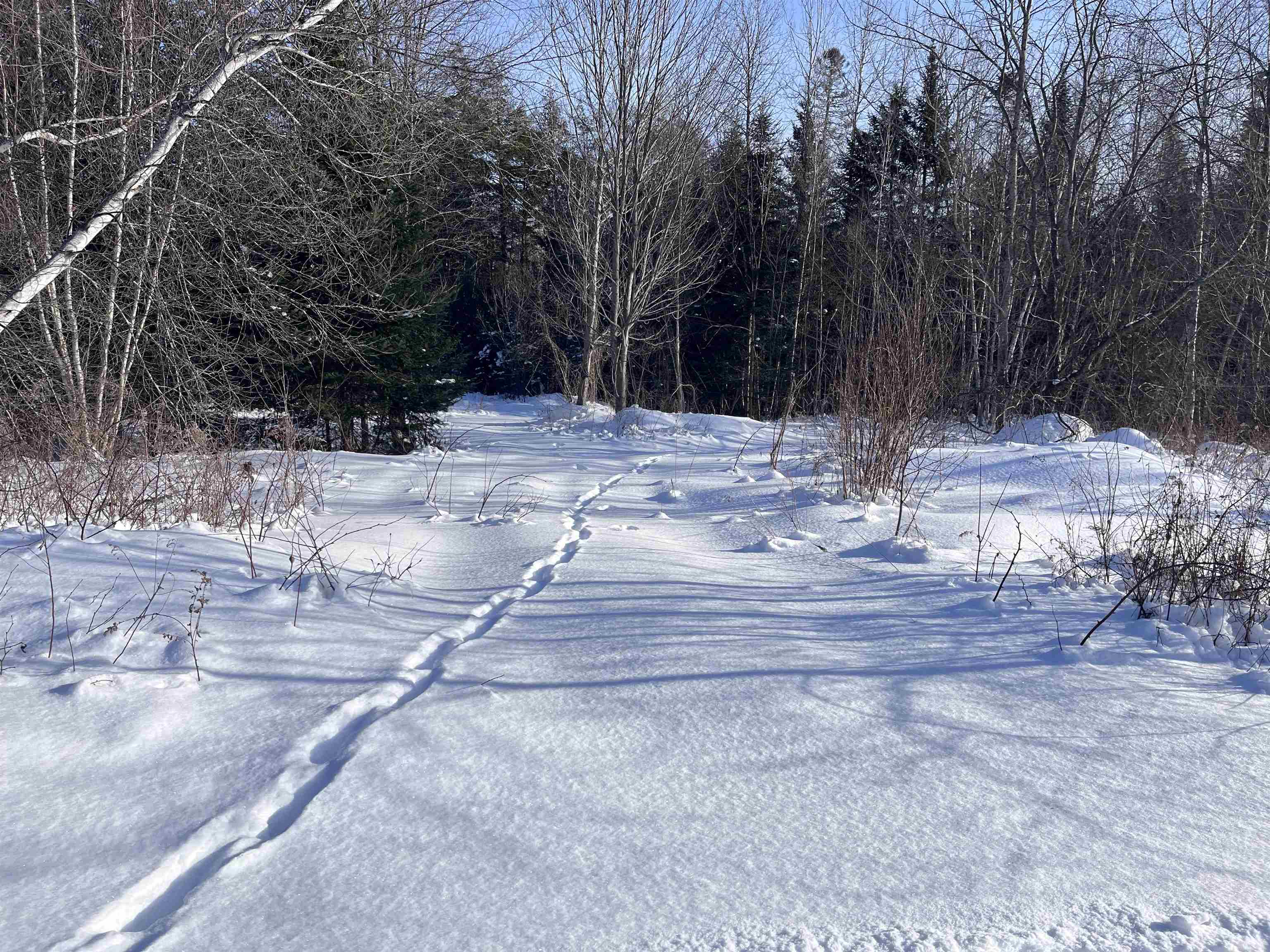 288 George Street Barre, VT 05641 - Photo 4 of 13