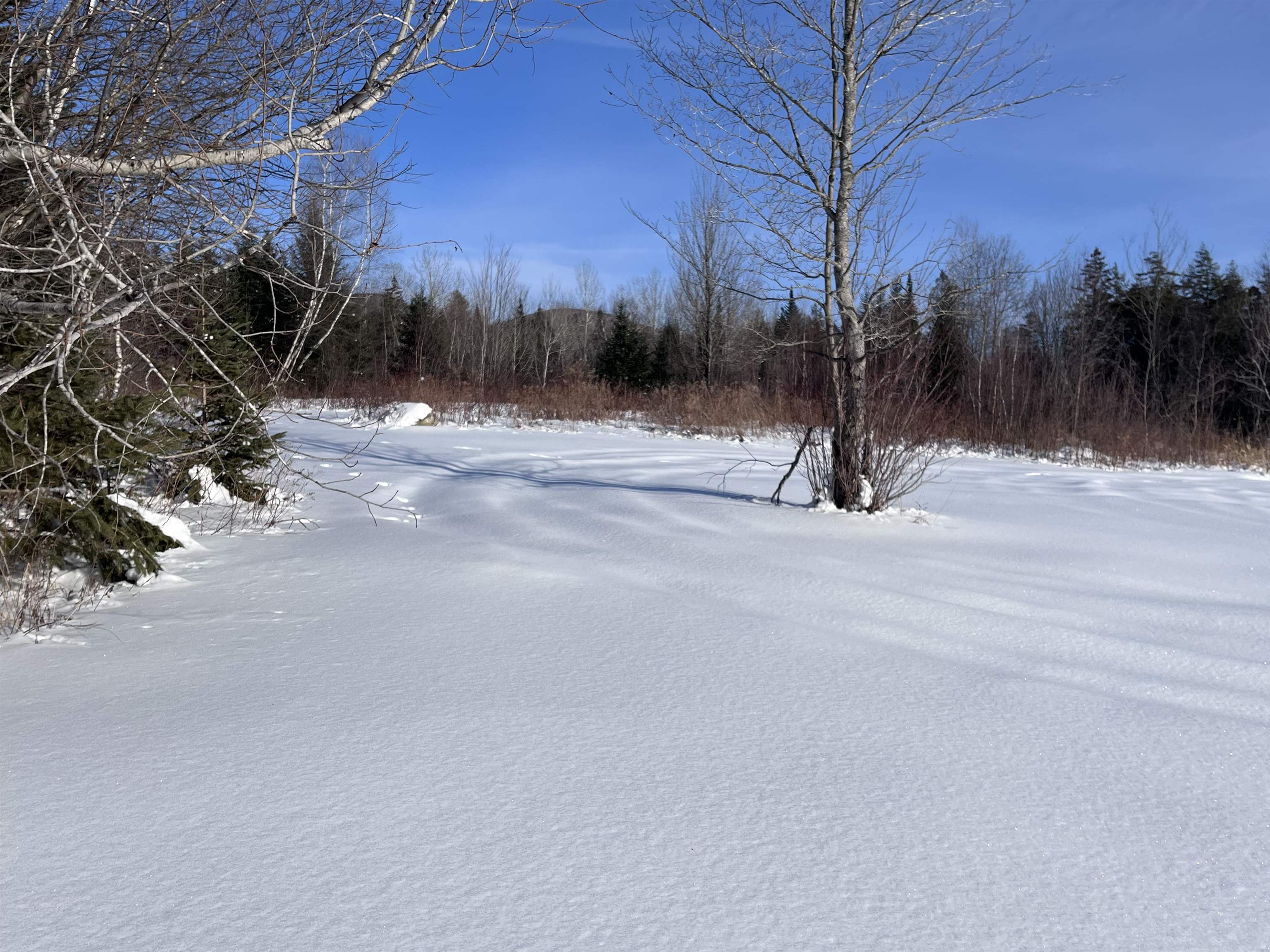 288 George Street Barre, VT 05641 - Photo 7 of 13