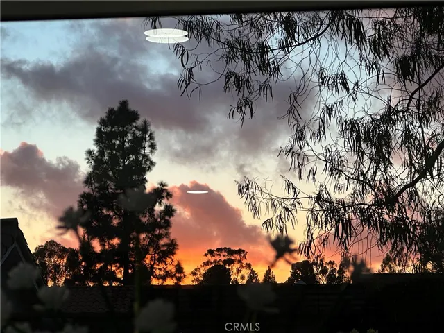 a view of a tree in a yard