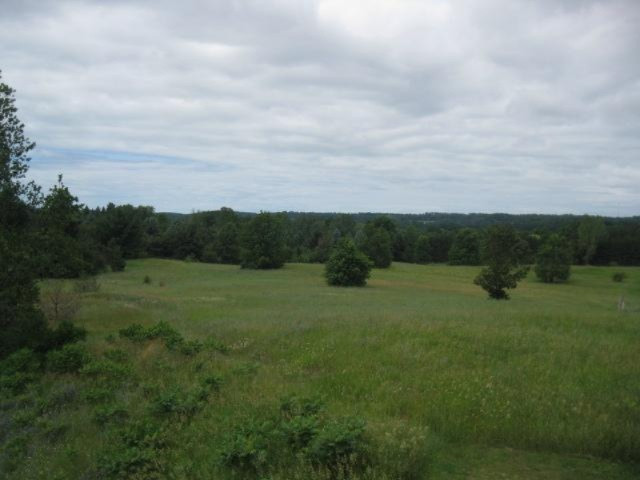 13-acres 13-acres Windy Ridge Road Bear Lake, MI 49614 - Photo 8 of 10 Additional Photo