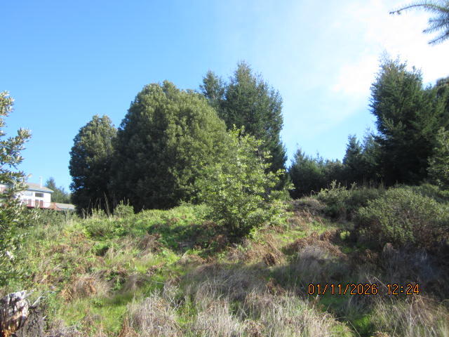 2715 Toth Road Shelter Cove, CA 95589 - Photo 23 of 27 IMG_0780