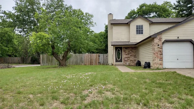 a view of a backyard with plants and large tree