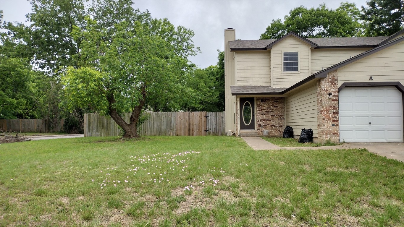 a view of a backyard with plants and large tree