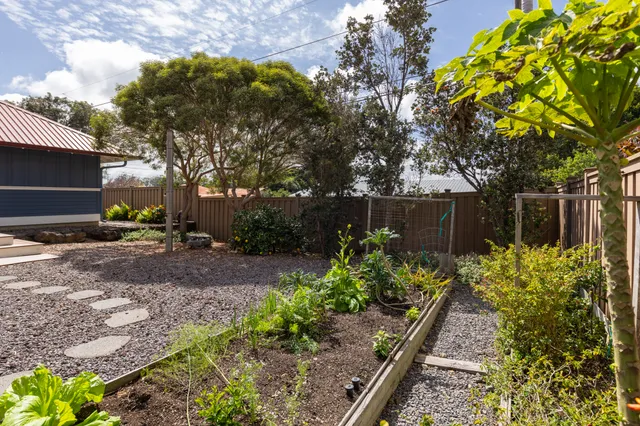 a view of garden with potted plants and large trees