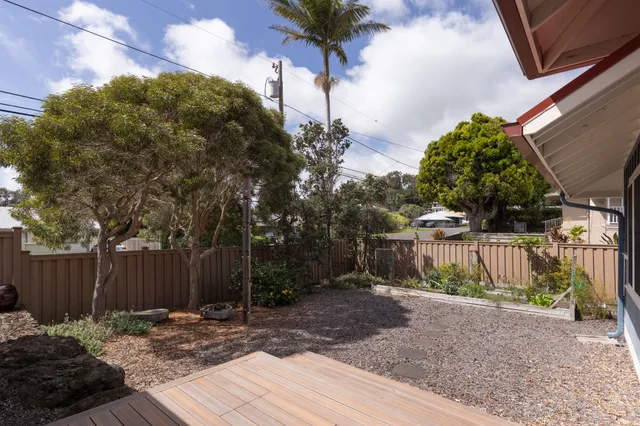 a view of a backyard with plants and a large tree