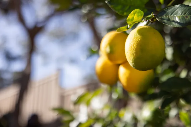 a view of a swimming pool