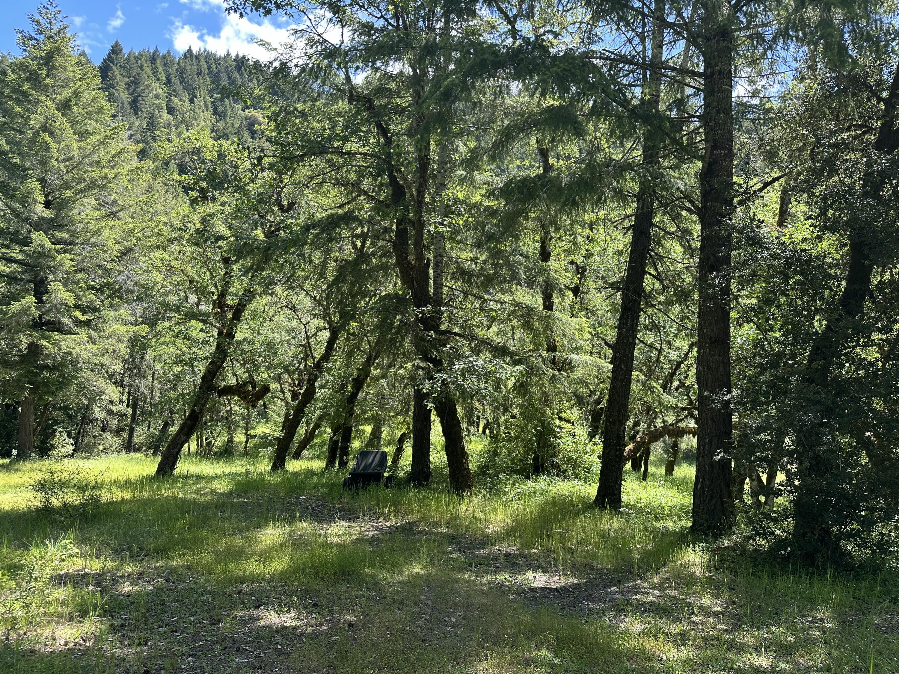 328-acres Saber Tooth Road Blue Lake, CA 95525 - Photo 21 of 23