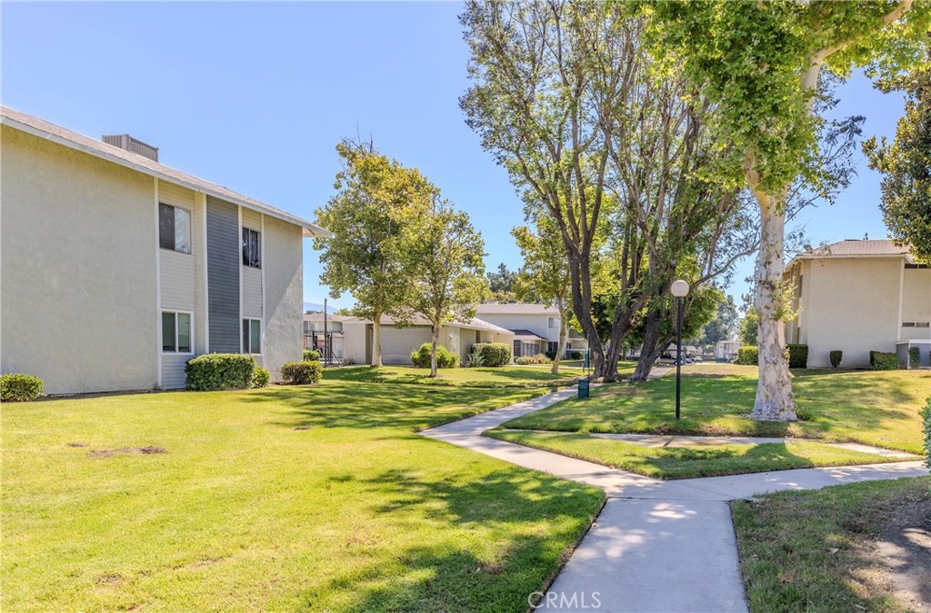 26200 Redlands Boulevard Redlands, CA 92373 - Photo 4 of 19 a swimming pool with the trees in the background