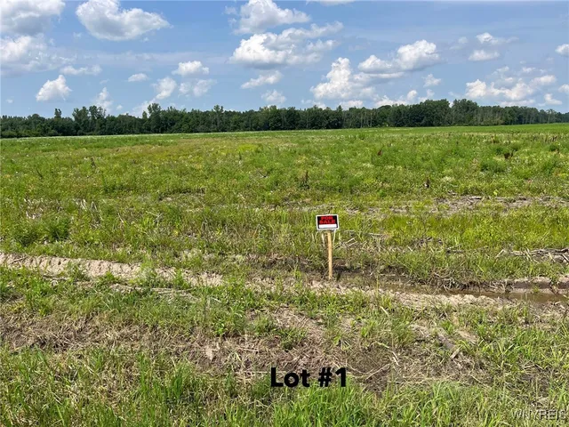 $185,000 | V/l Miland Road, Akron, NY 14001