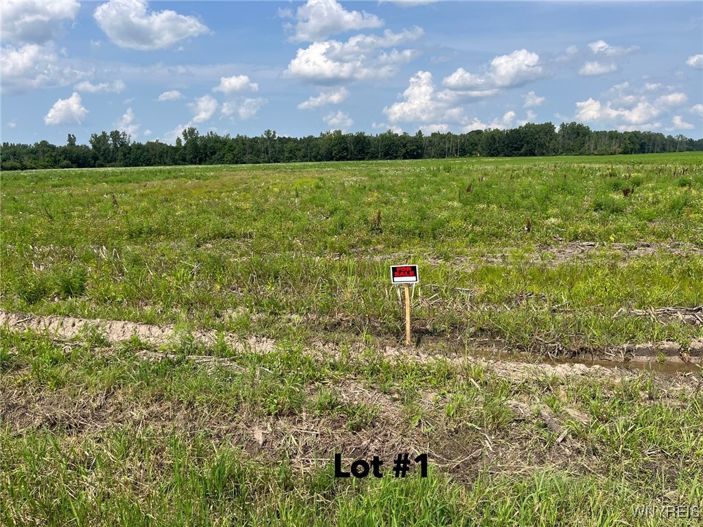 V/l Miland Road Akron, NY 14001 - Photo 2 of 4