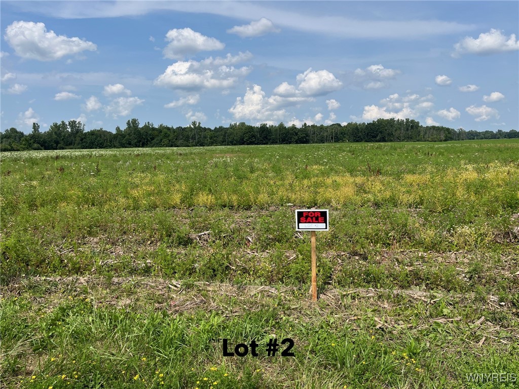 V/l Miland Road Akron, NY 14001 - Photo 3 of 4