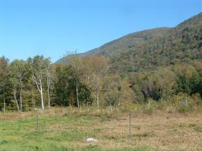0 South End Road Mount Tabor, VT 05253 - Photo 3 of 6 Gallery Image 3