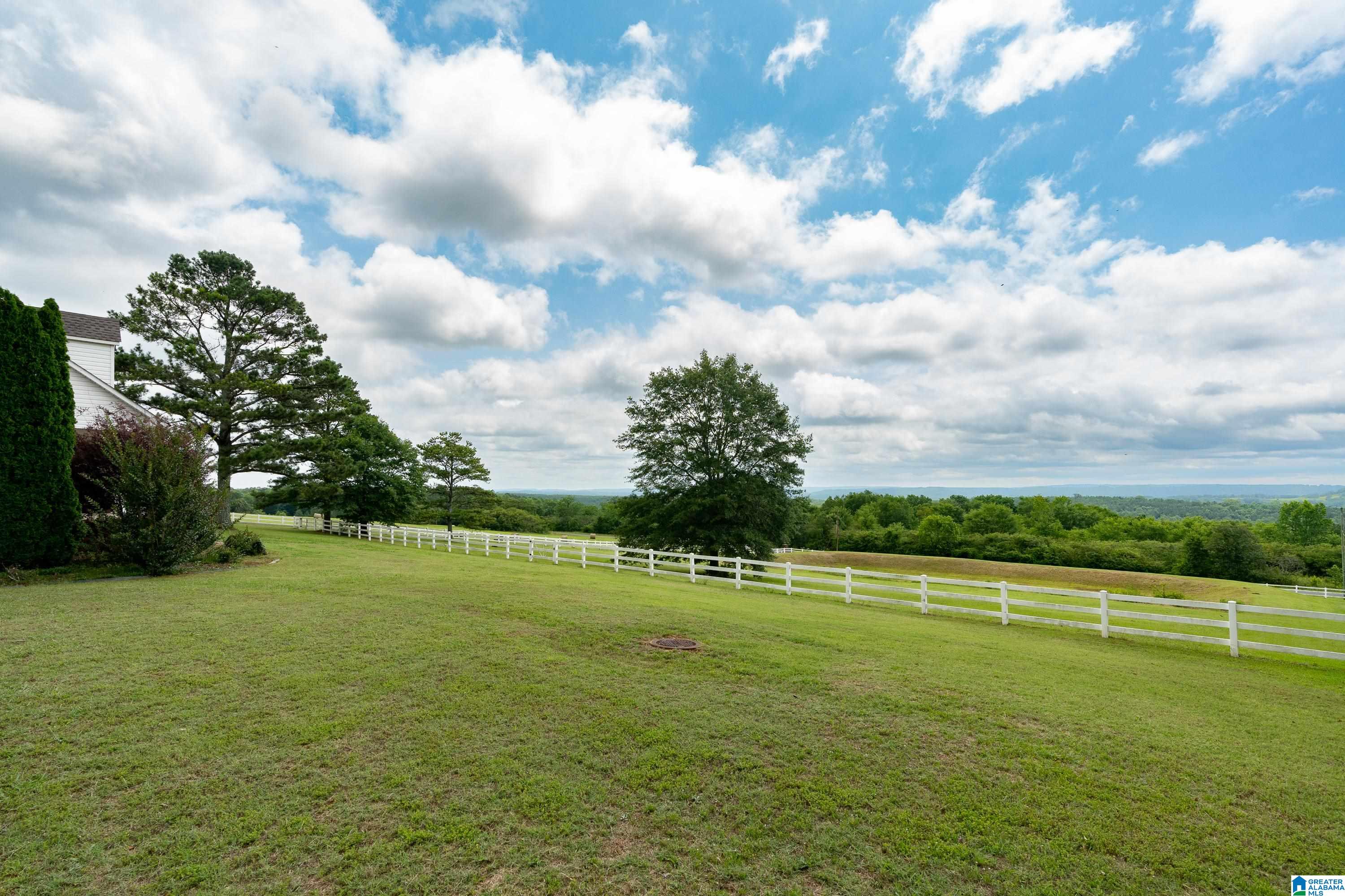 925 Hamilton Mountain Road Blountsville, AL 35031 - Photo 50 of 72