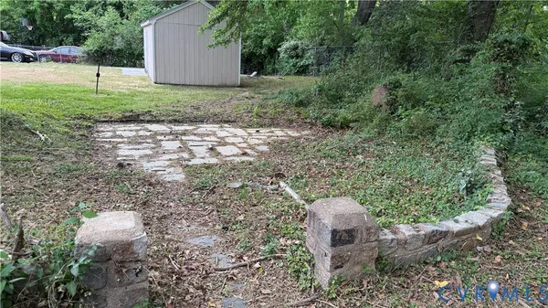 a view of a yard with plants and large trees
