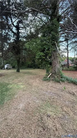 a view of a backyard with table and chairs and couches