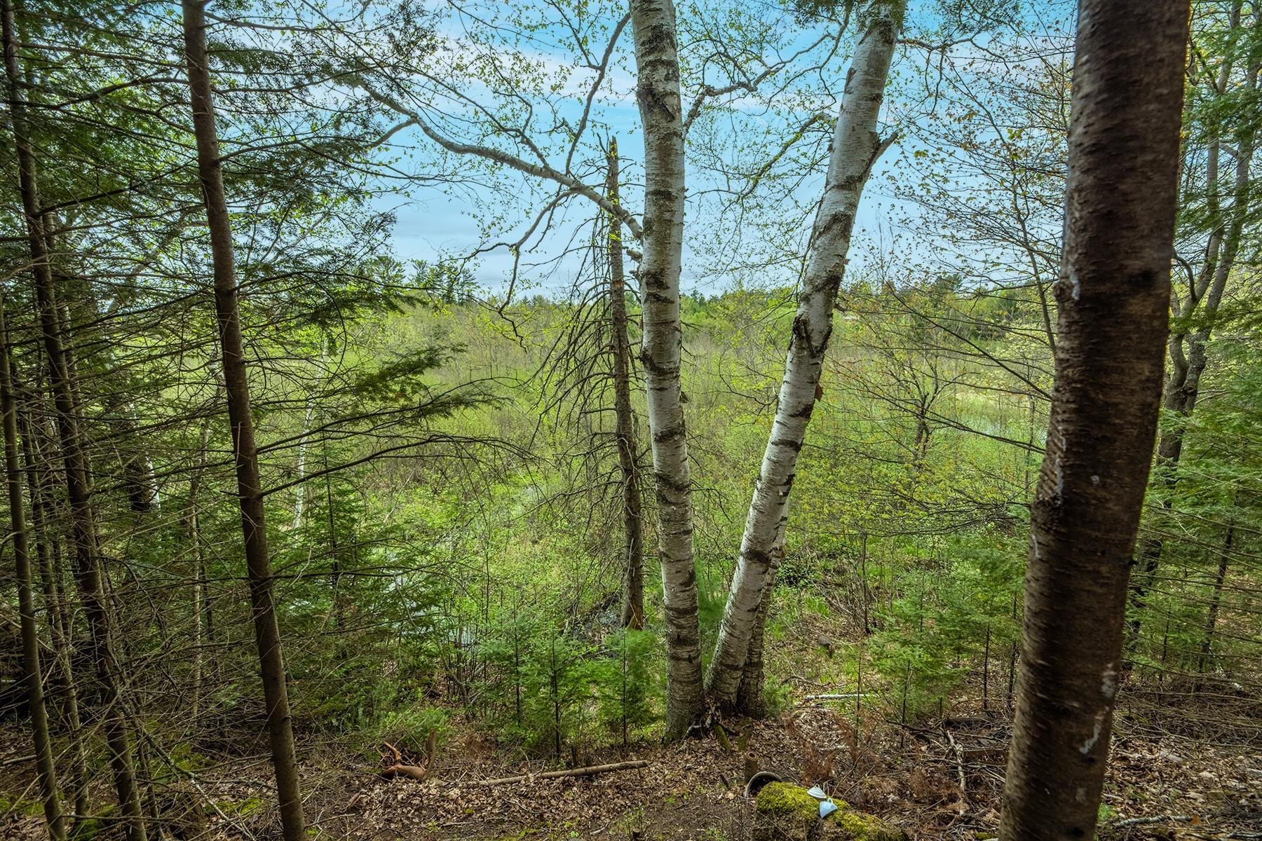 611 West Dyer Farm Road Eagle River, WI 54521 - Photo 11 of 22 Gallery Image 11