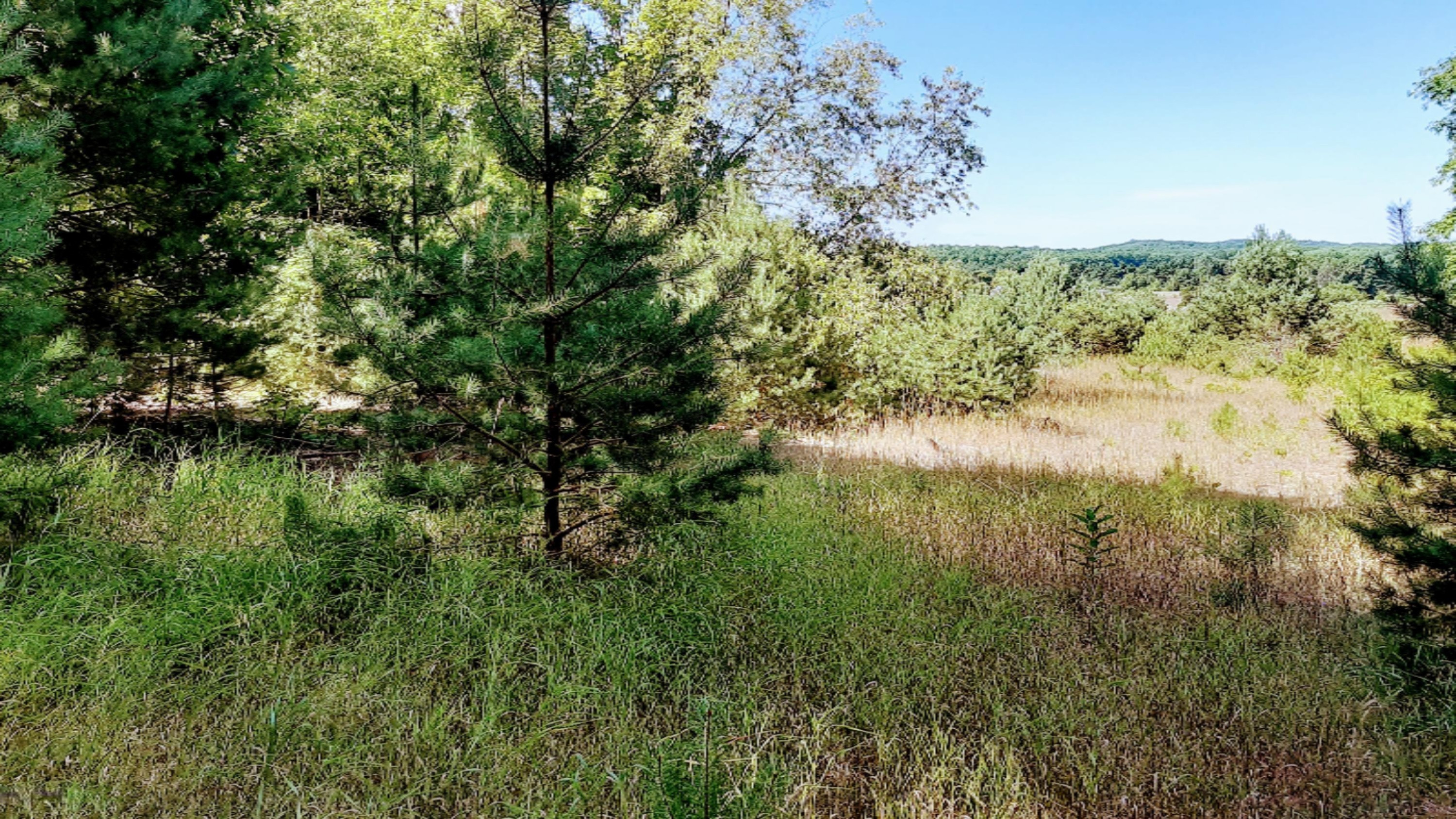 30-acres Spruce Ridge Road Bear Lake, MI 49614 - Photo 17 of 42 20200819_120412
