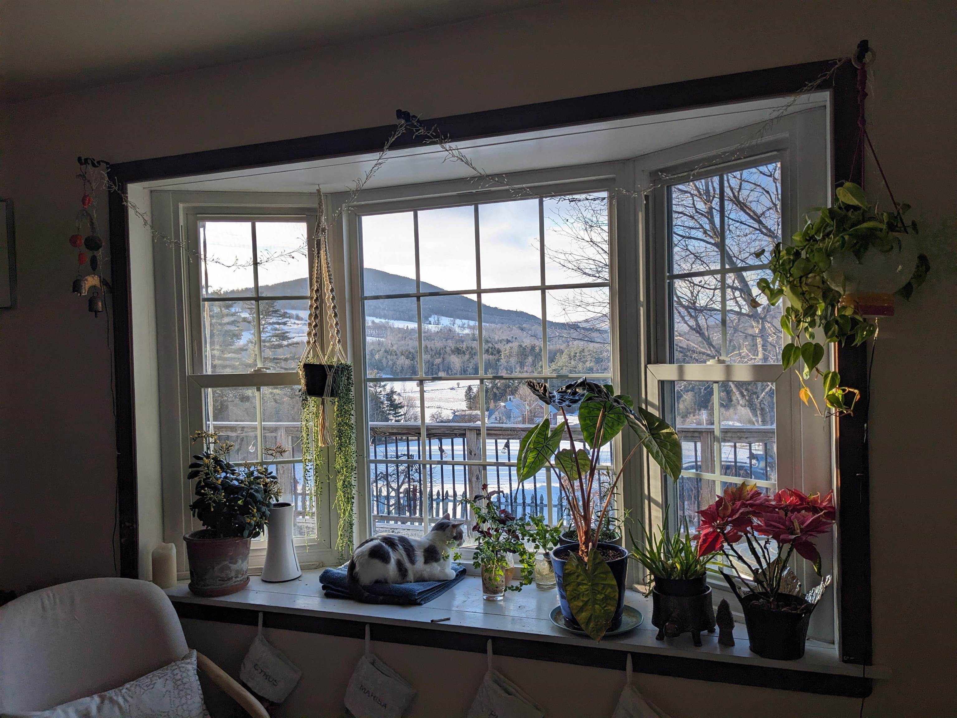 3954 West Barnet Road Barnet, VT 05821 - Photo 41 of 60 Gallery Image 41