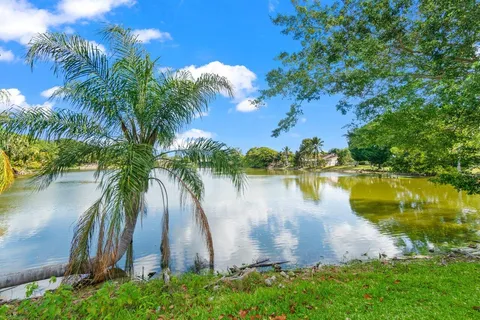 a view of a lake with a yard and palm trees