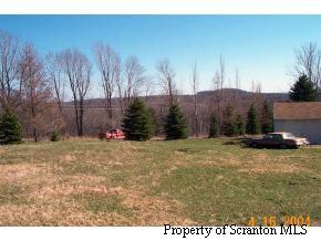 0 Daw Road Pleasant Mount, PA 18453 - Photo 4 of 4 Gallery Image 4