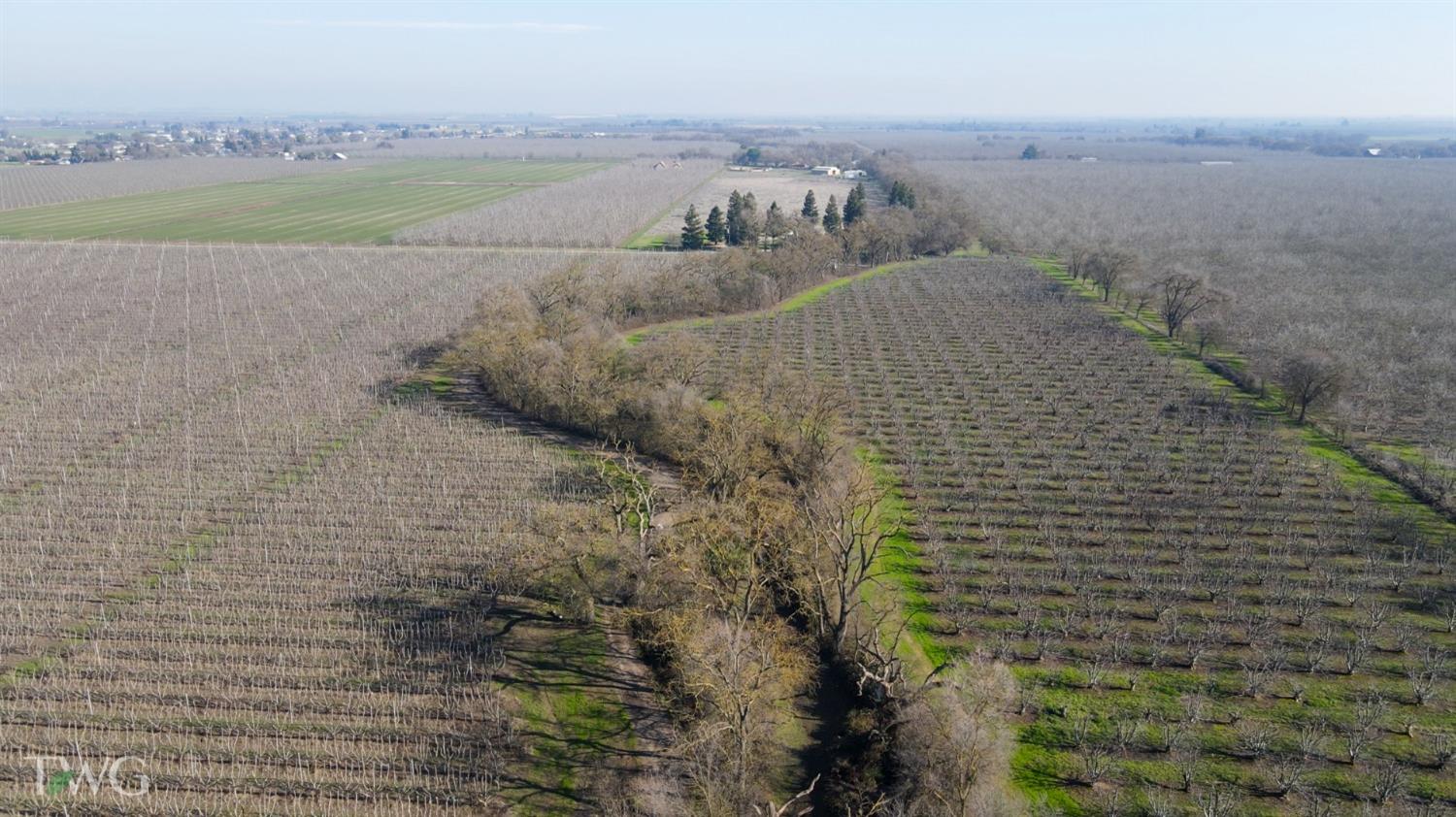 11850 Live Oak Road Lodi, CA 95240 - Photo 3 of 14 a view of an outdoor space and a yard