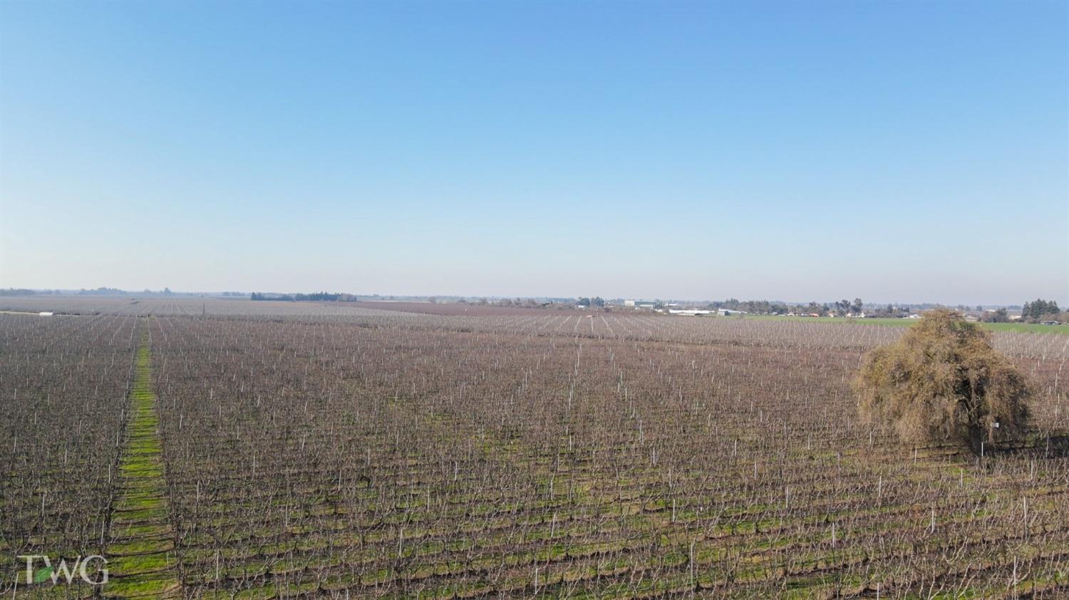 11850 Live Oak Road Lodi, CA 95240 - Photo 5 of 14 a view of lake