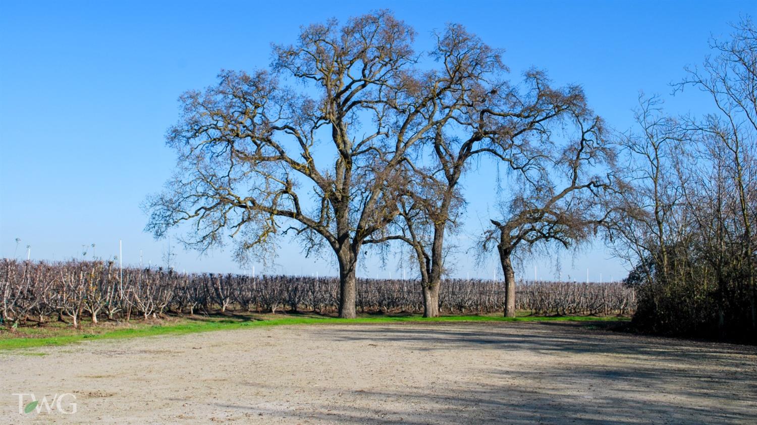 11850 Live Oak Road Lodi, CA 95240 - Photo 6 of 14