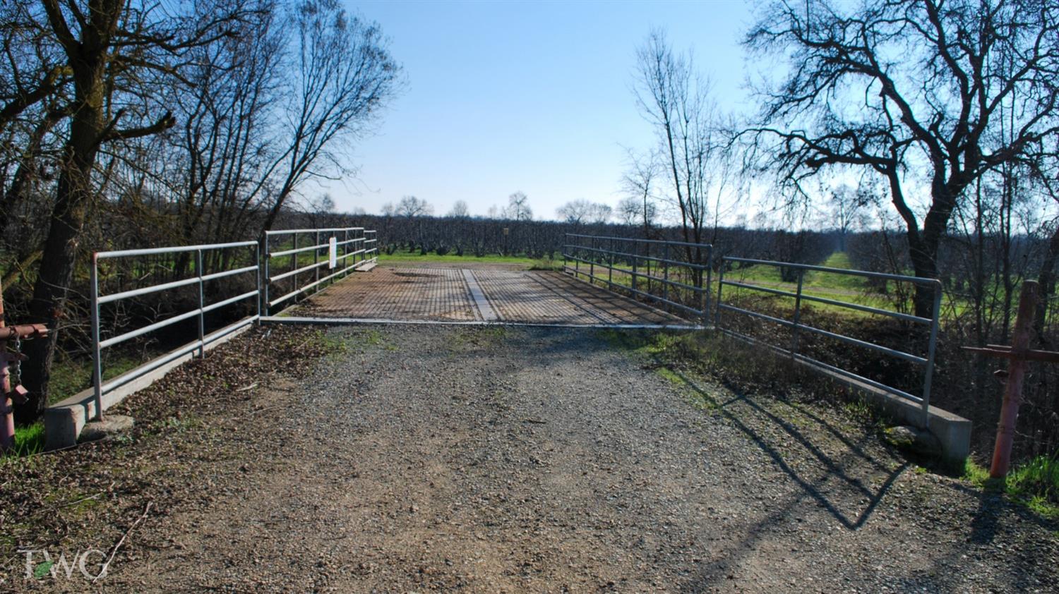 11850 Live Oak Road Lodi, CA 95240 - Photo 9 of 14 a view of backyard with wooden fence and large trees