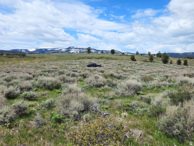1664 Mill Canyon Road Montpelier, ID 83254 - Photo 3 of 8