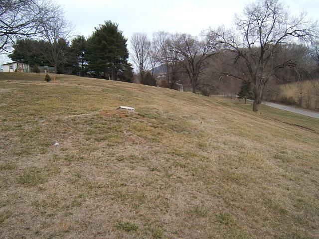 1511 Scott Road Roanoke, VA 24012 - Photo 22 of 26 yard