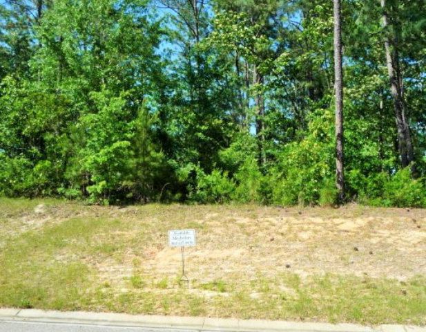 119 Lady Banks Road Aiken, SC 29803 - Photo 1 of 1 Main View