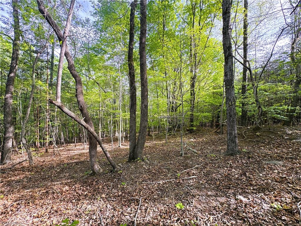 521 Matrimony Road Eden, NC 27288 - Photo 16 of 36