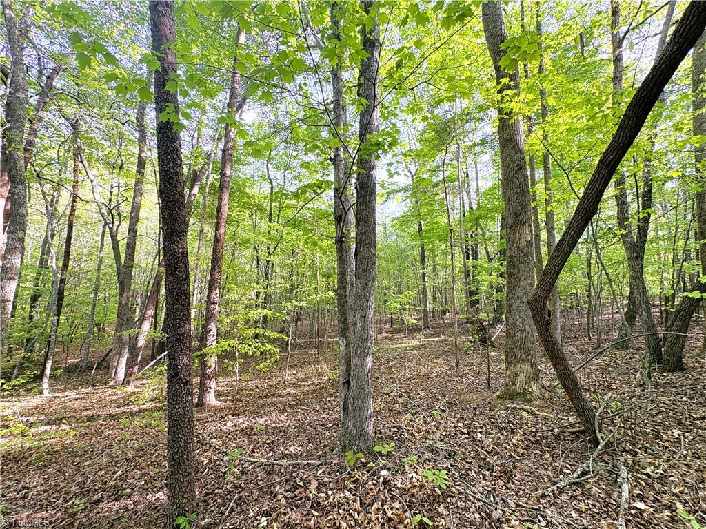 521 Matrimony Road Eden, NC 27288 - Photo 17 of 36